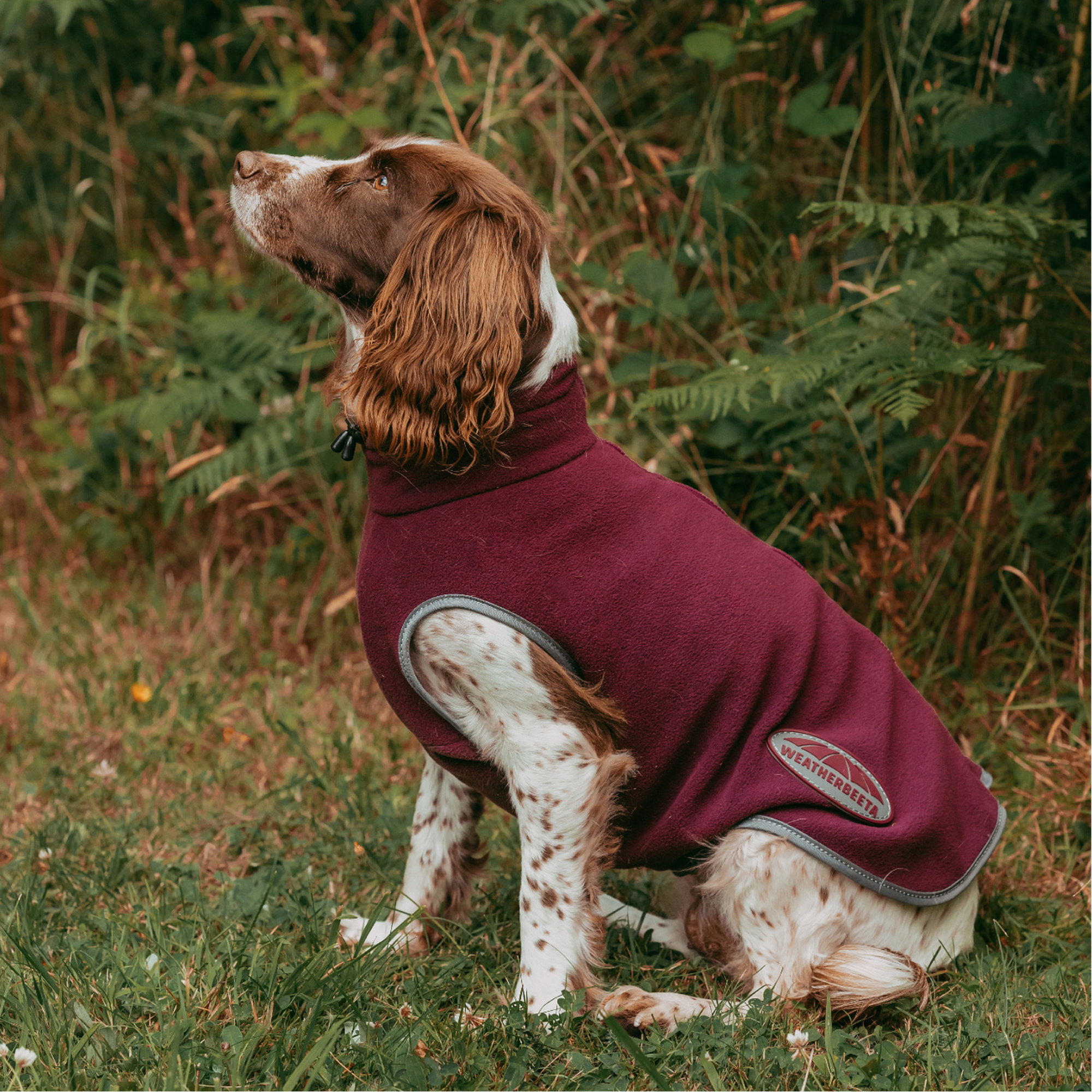 Weatherbeeta Comfitec Fleece Zip Hund Mantel 1003457 - Maroon / Grey